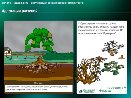 Вы точно человек?